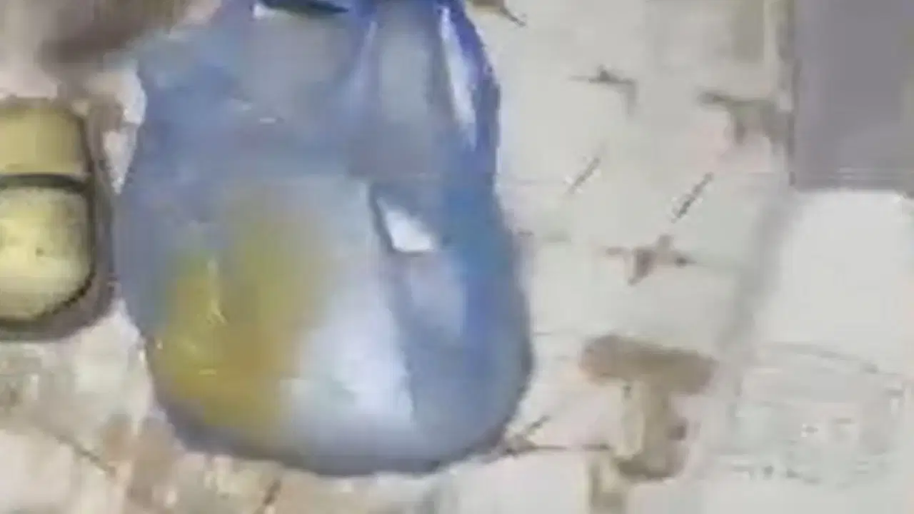 Van'da 10 kilo metamfetamin ele geçirildi: 1 tutuklama