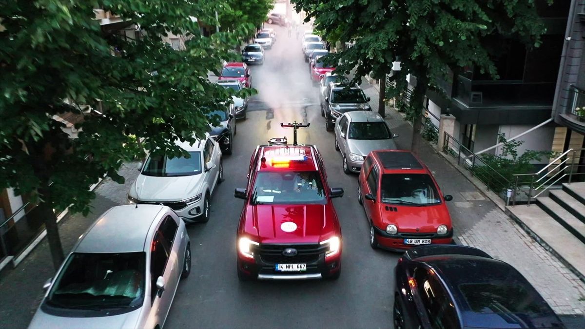 Şişli'de yaz aylarında artan haşerelere karşı ilaçla mücadele