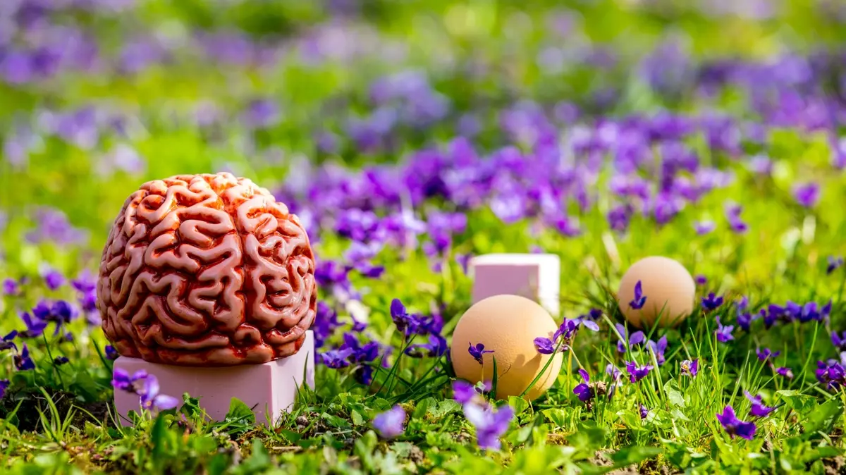 Alzheimer riskini artıran faktörler neler" Uzmanlar uyarıyor