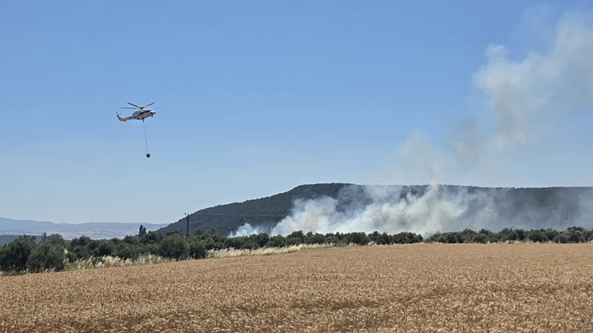 Çanakkale'de korkutan yangın!