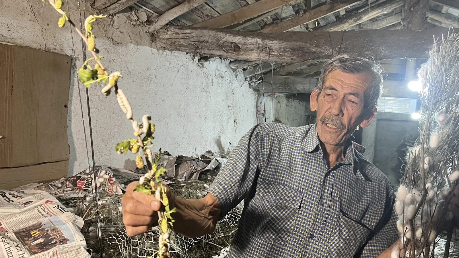 40 günde 216 bin TL kazandıran iş: 60 yıldır evinin altında üretiyor!