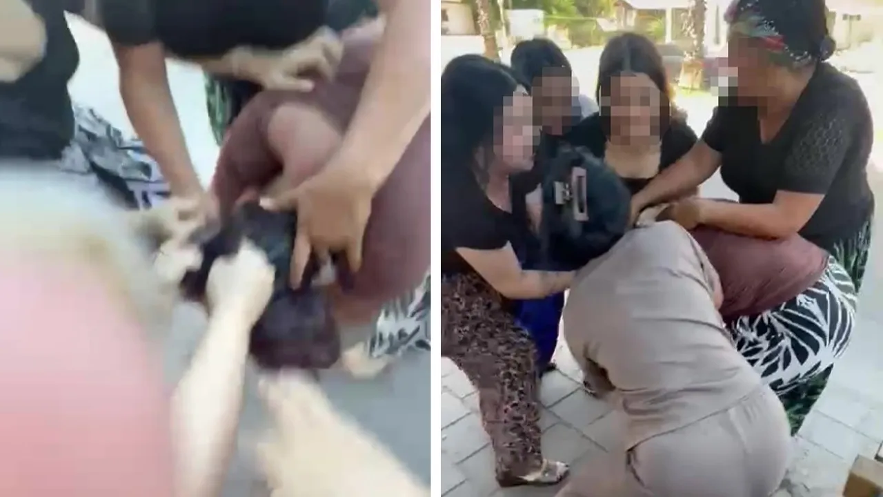 Çocuğuyla oturan kadını dövüp video çektiler
