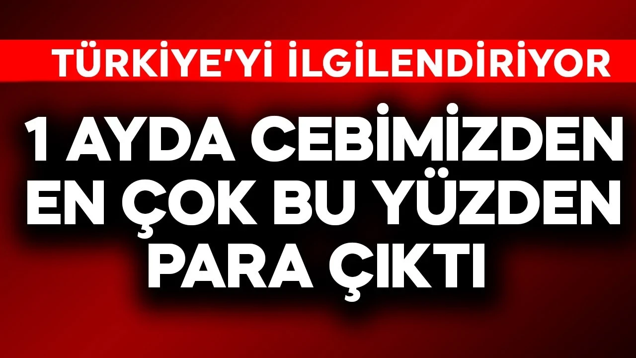 Türkiye'yi ilgilendiriyor! 1 ayda cebimizden en çok bu yüzden para çıktı