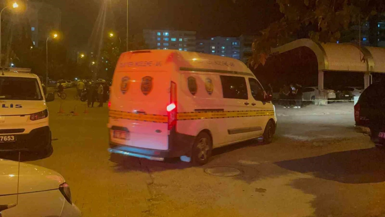 Kavga acı sonla bitti: Anne öldü, oğlu yaralandı