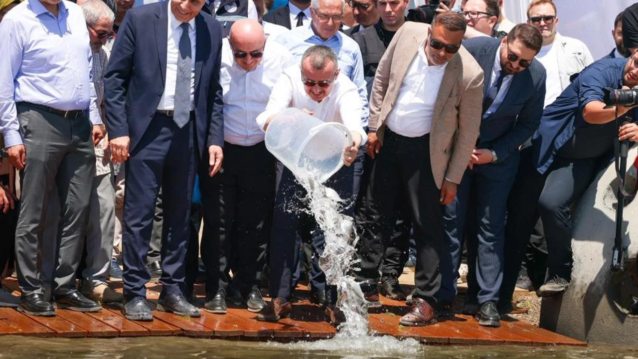 İzmit Körfezi'ne 6 bin yeni misafir