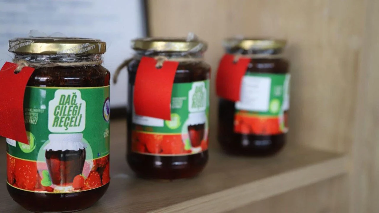Ordu’nun dağ çileği artık tescilli