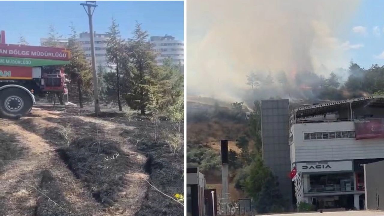 Ankara'da ODTÜ Ormanı'nda yangın