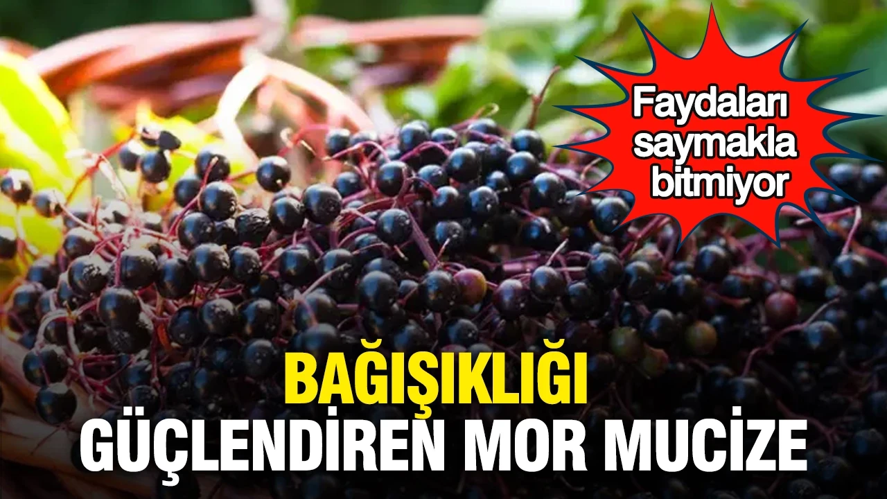Bağışıklığı güçlendiren mor mucize: Faydaları saymakla bitmiyor