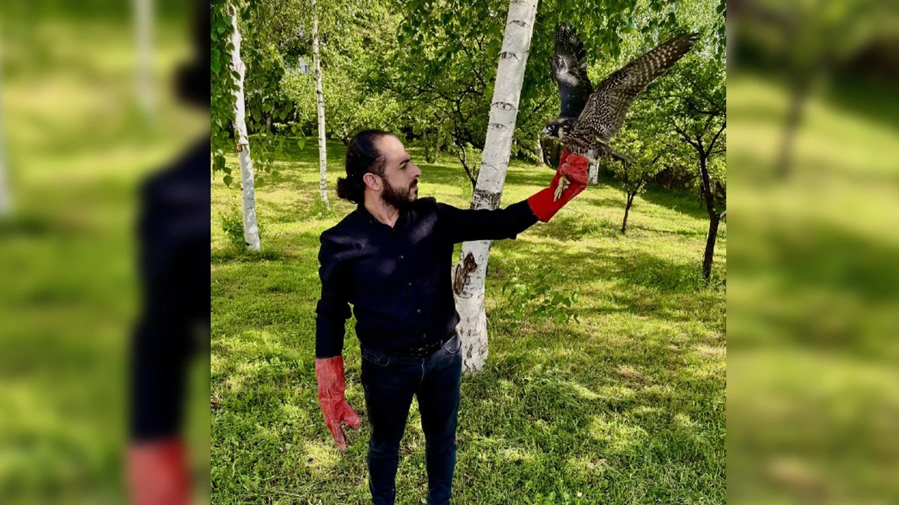 Erzurum'da yaralı bulunmuştu: Gökdoğan doğaya salındı