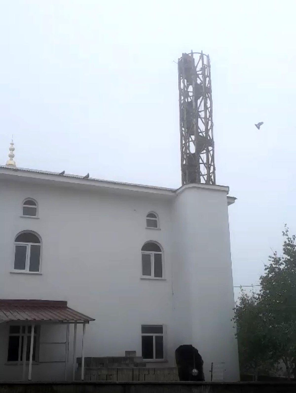 Güvercin yuvası minare yıkımını erteledi