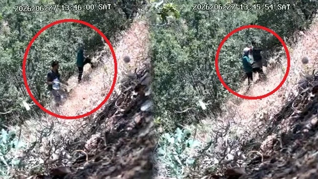 CHP ilçe başkanı ve oğlu fotokapana yakalandı: Kenevir tarlasını sularken görüntülendi! Başkanın oğlunun ifadesi ortaya çıktı