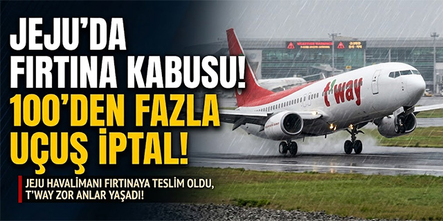 Fırtına 100'den fazla uçuşu iptal ettirdi!