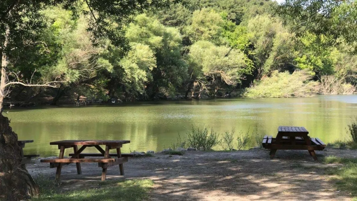 İzmir’de hafta sonu kaçamağı: Sıcaklardan kaçıp nefes alabileceğiniz piknik alanları