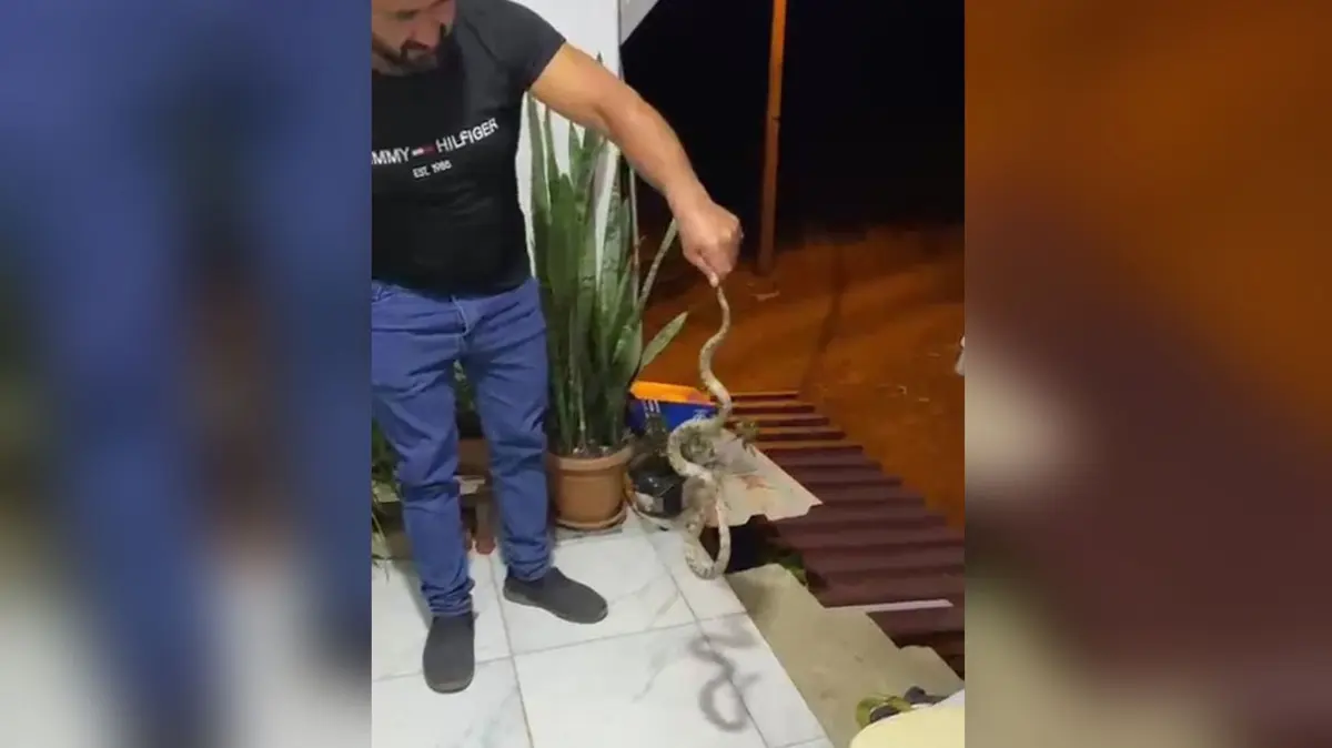 Eve girmek üzereydi! Antalya'da yılanla ilginç pazarlık