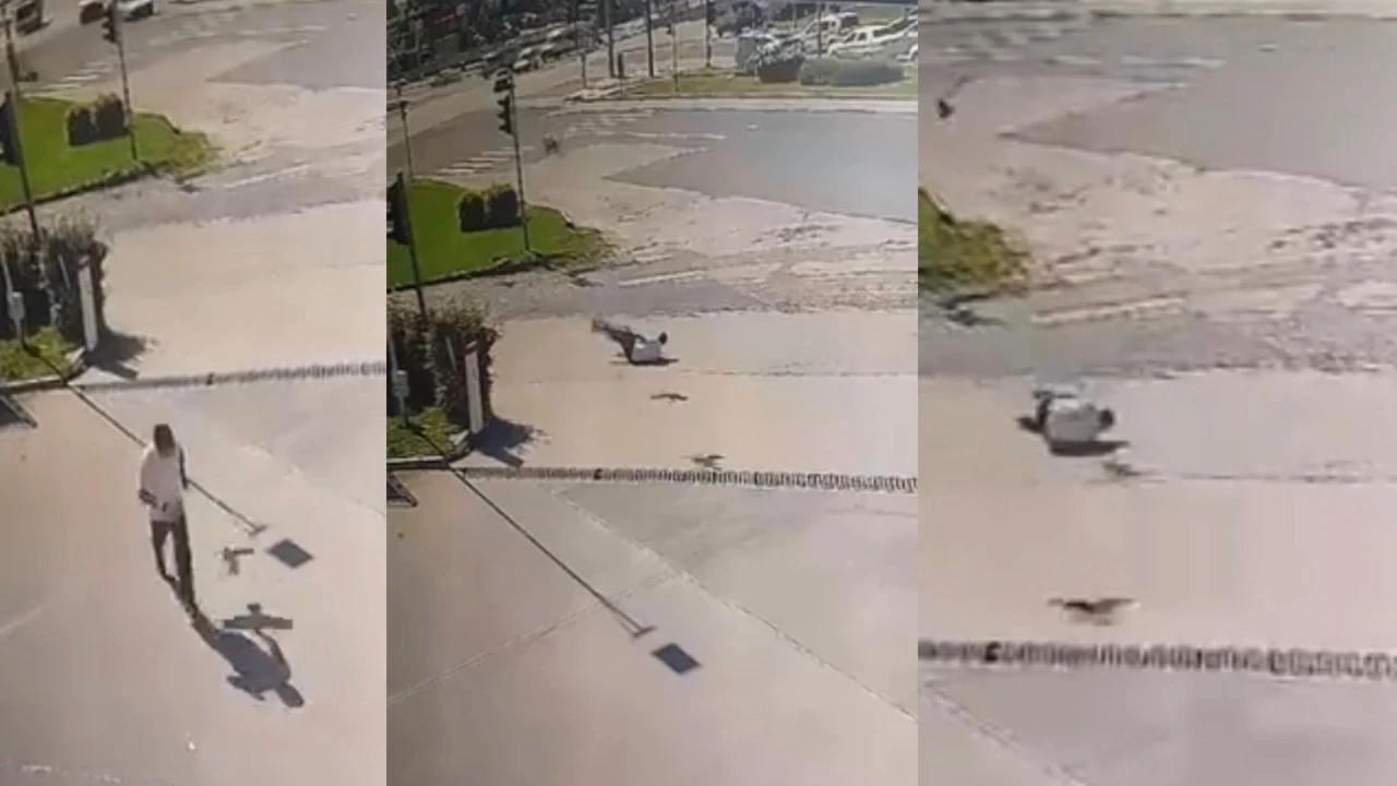 Kargadan kaçarken taklalar attı