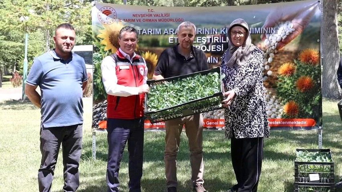 Nevşehir'de üreticilere yüzde 75 hibeli karnabahar ve brokoli fidesi dağıtıldı