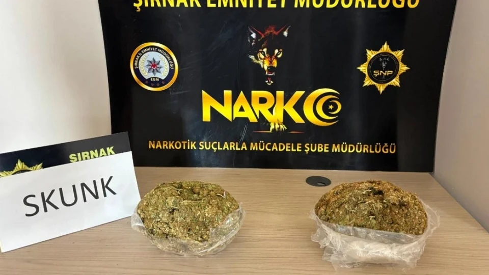 Şırnak'ta narkotik operasyonu! Yaklaşık bir kilogram skunk ele geçirildi
