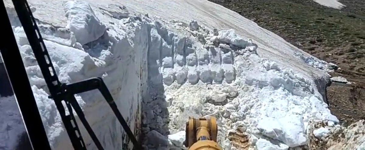 Bingöl'de ilginç görüntü: Yazın ortasında; bir yanda kar, diğer yanda sıcaktan bunalan inekler