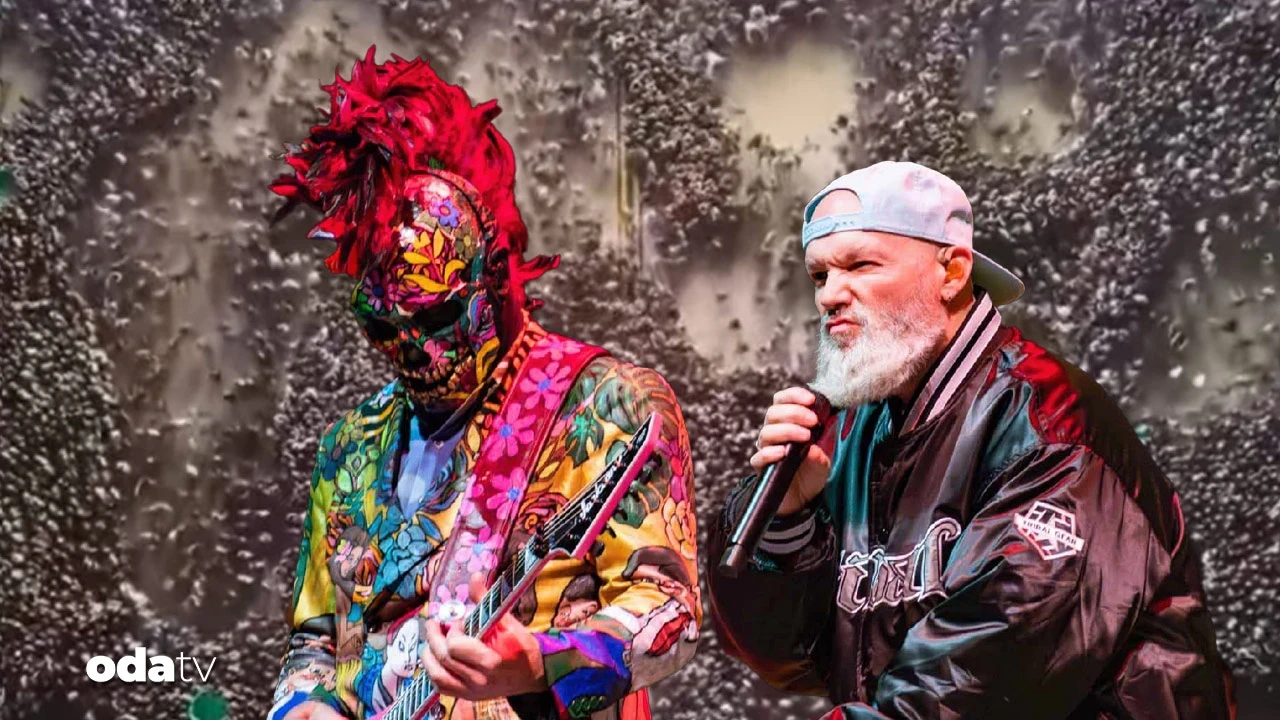 Karınca yuvası değil Limp Bizkit