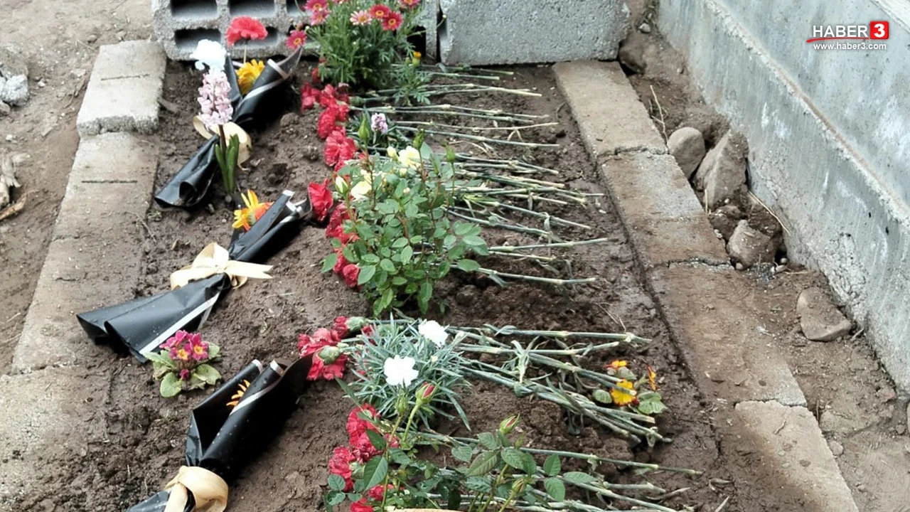 Akran cinayetinde şoke eden ayrıntı: ''Firar evi'' detayı dikkat çekti!