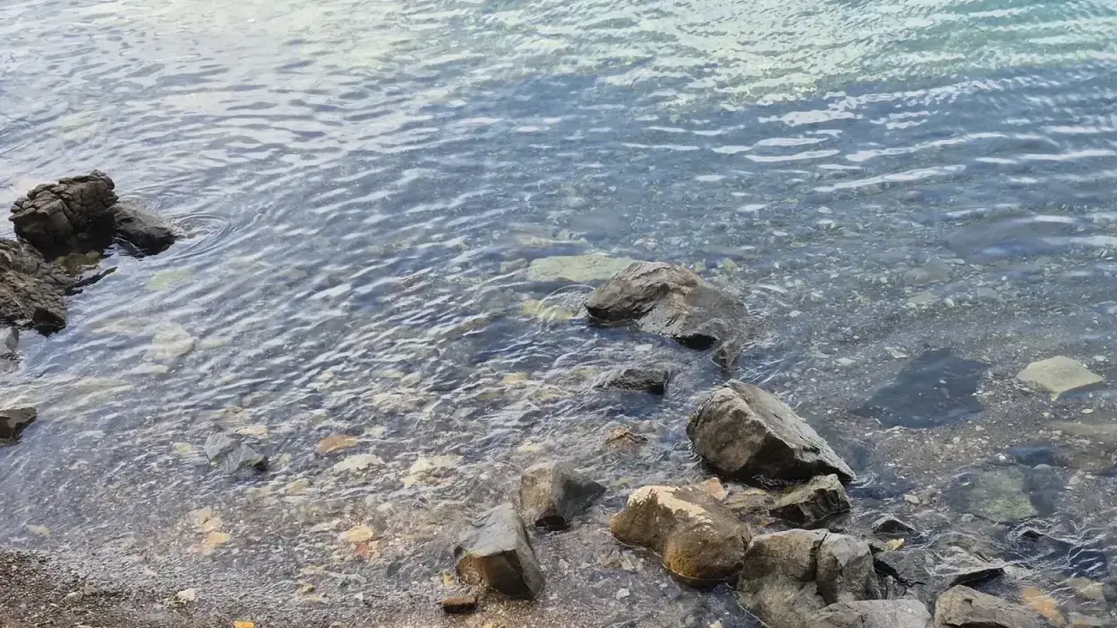 Marmaris'te korkutan sabah! Denizde erkek cesedi bulundu