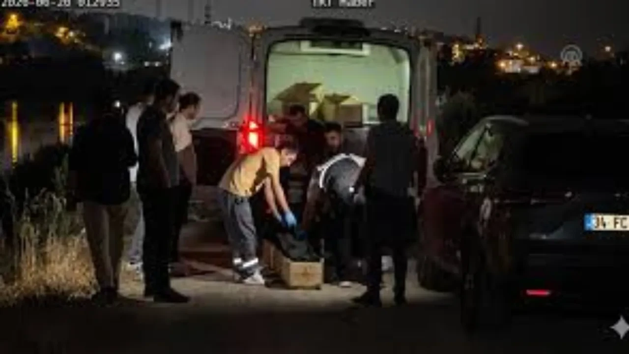 Başakşehir'de kadın cinayeti! Başına taşla vurup cesedini araziye attı