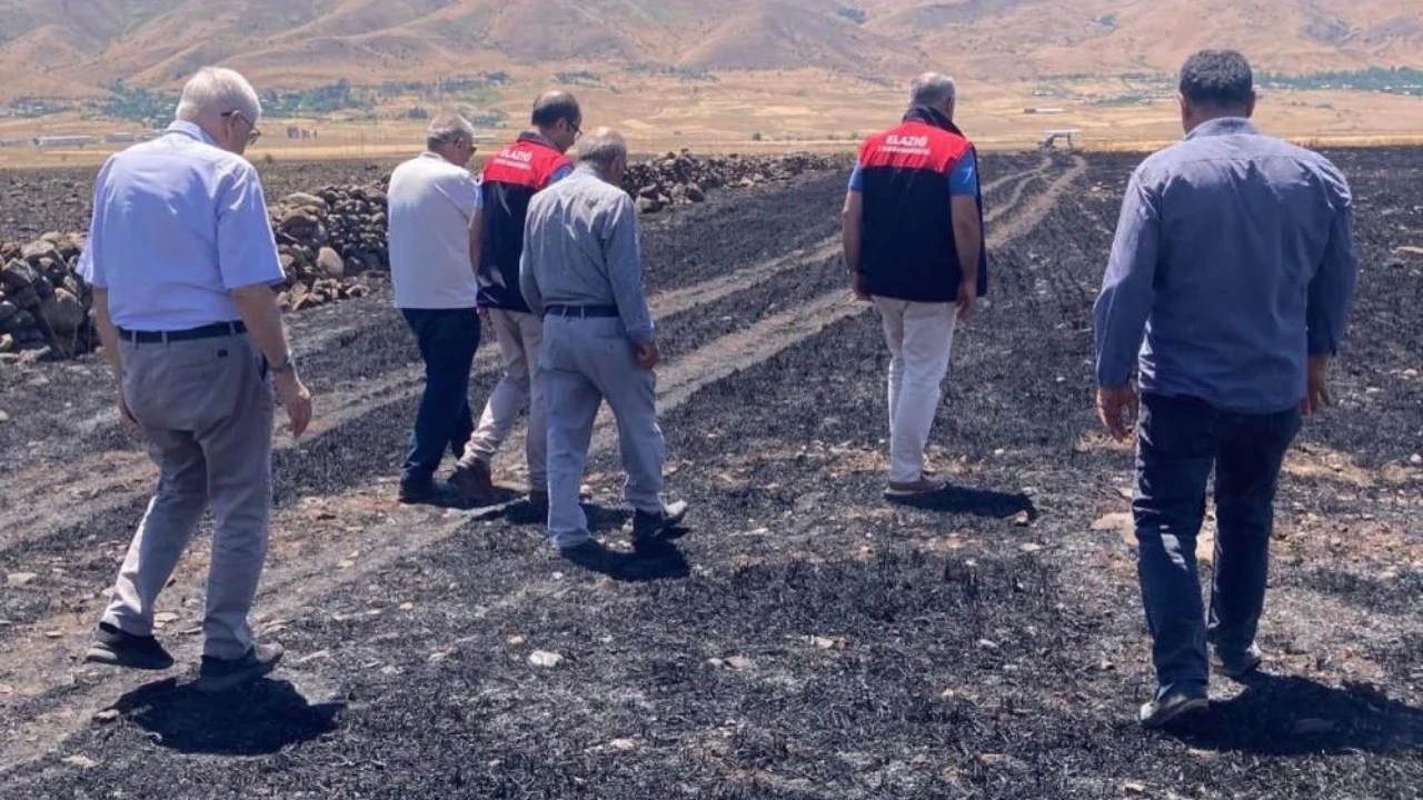 Kül olan 70 dönüm ekili arazide hasar tespit çalışmaları başladı