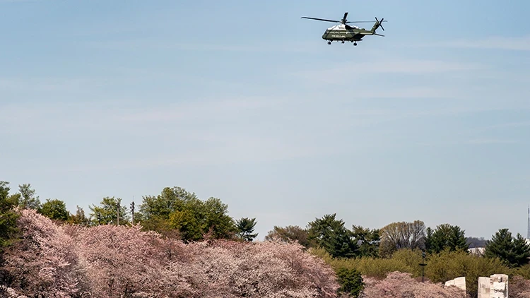 Washington'da askeri helikopter paniği