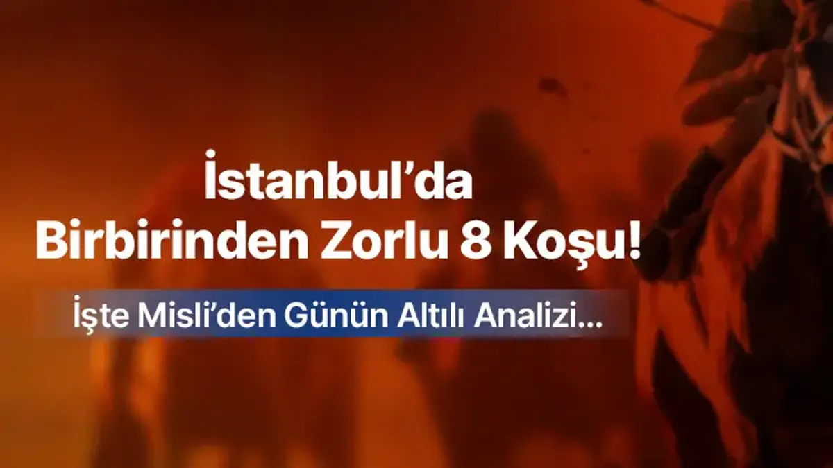 İstanbul’da Birbirinden Zorlu 8 Koşu! İşte Misli’den Günün Altılı Analizi…
