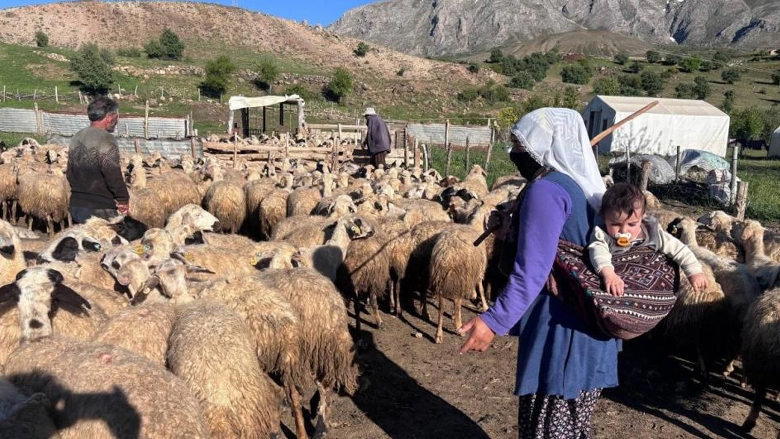 Tarım destekleri üzerinden vurgun girişimi: Bakanlıktan açıklama