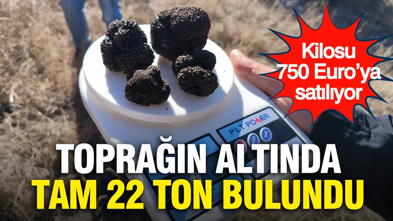 Kilosu 750 Euro’ya satılıyor: Toprağın altında tam 22 ton bulundu