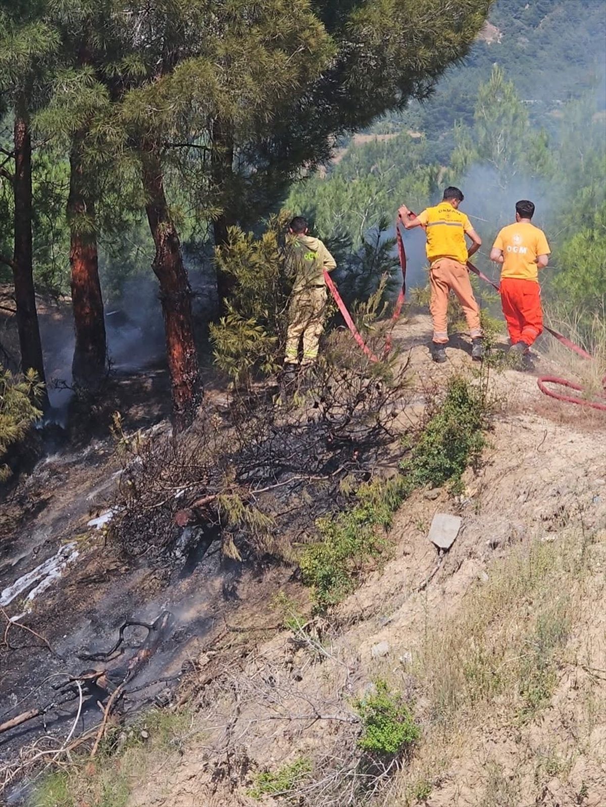 Hatay'da ormanlık alanda çıkan yangın söndürüldü