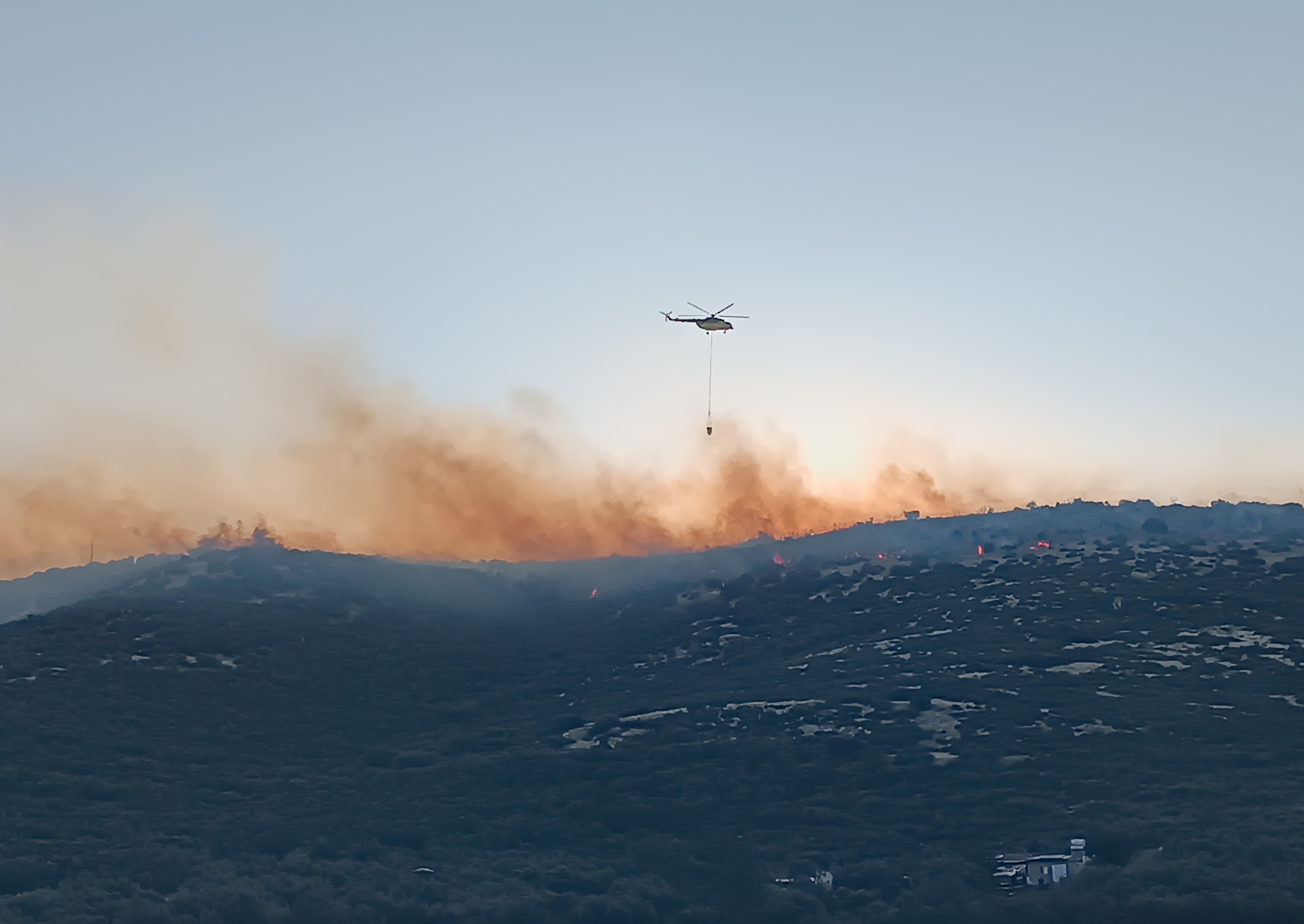İzmir'de orman yangını. Havadan ve karadan müdahale ediliyor