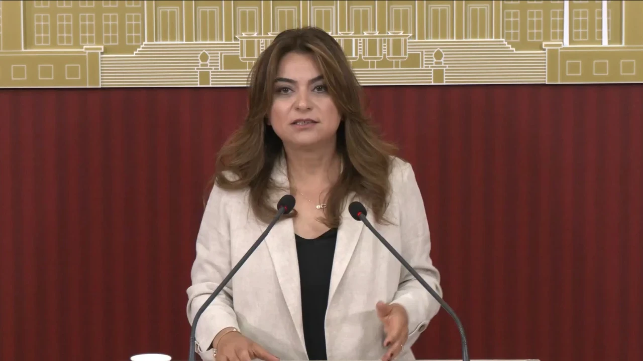 DEM Partili Koçyiğit: Çerçeve yasa Meclis kapanmadan çıkacak