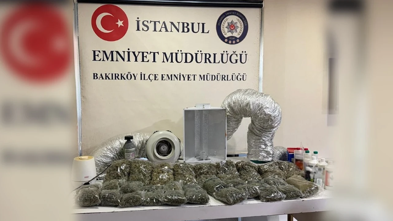 İstanbul’da uyuşturucu operasyonu: Evde sera düzeneği kurmuşlar