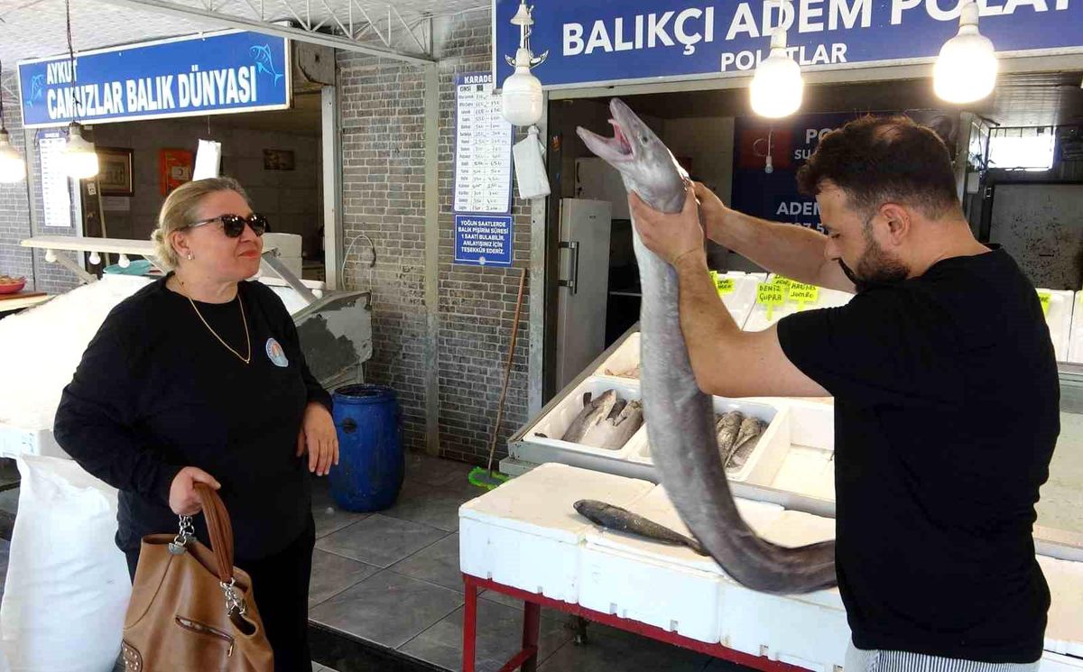 Mersin'de dev yılan balığı tezgahta ilgi odağı oldu