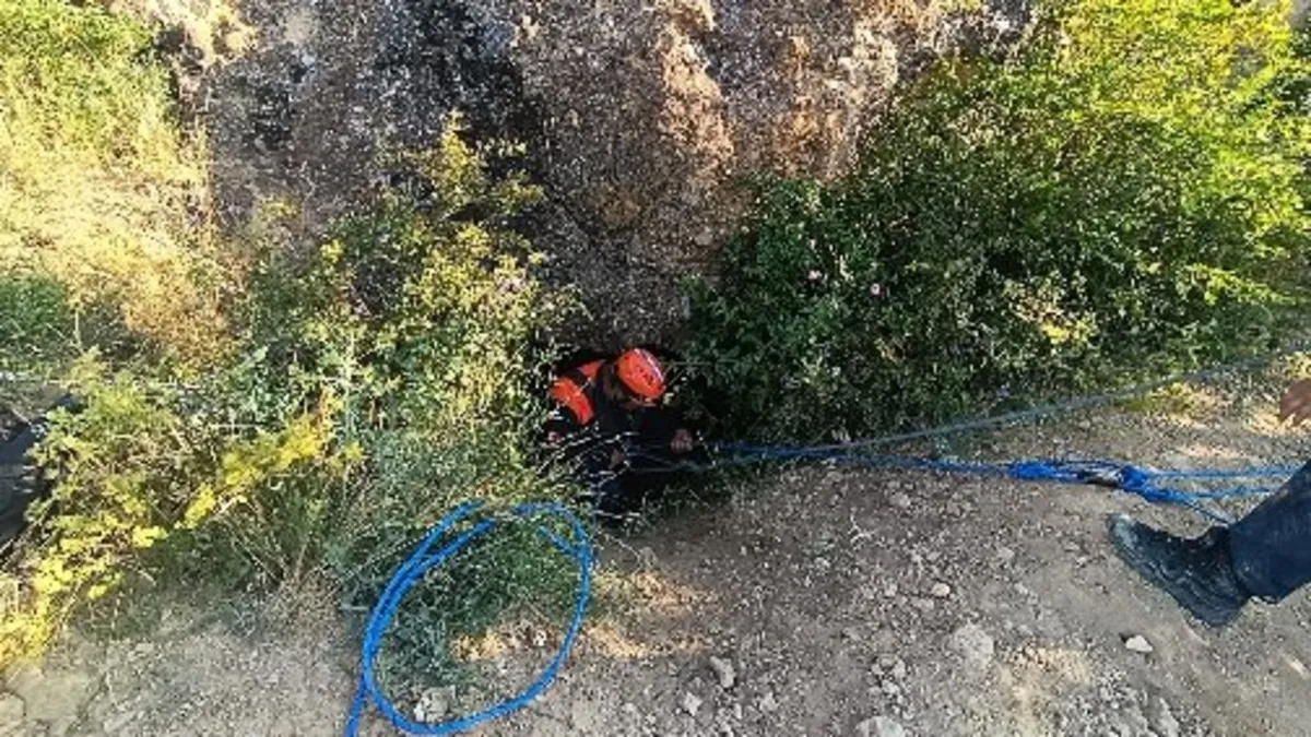 Define hırsı felakete dönüştü! Mağaraya girdi sırra kadem bastı