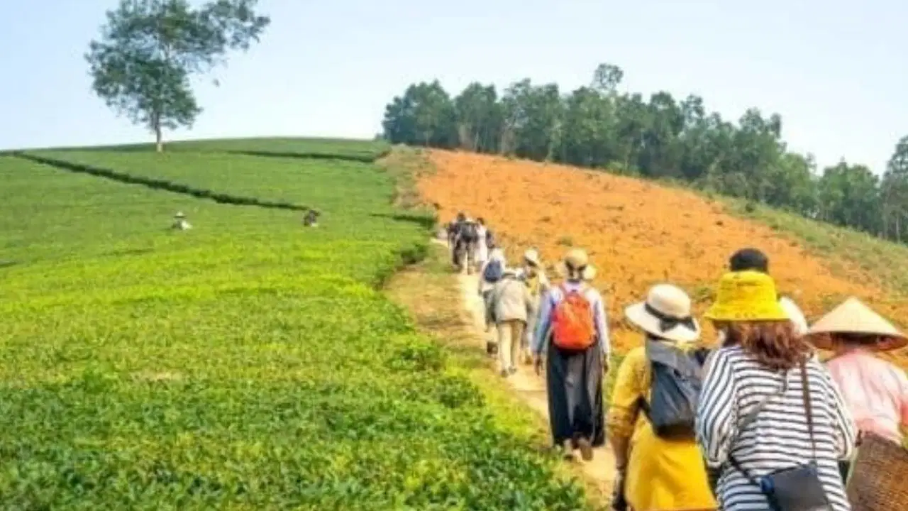 Tarladan sofraya eko-savunma: Agro-turizm