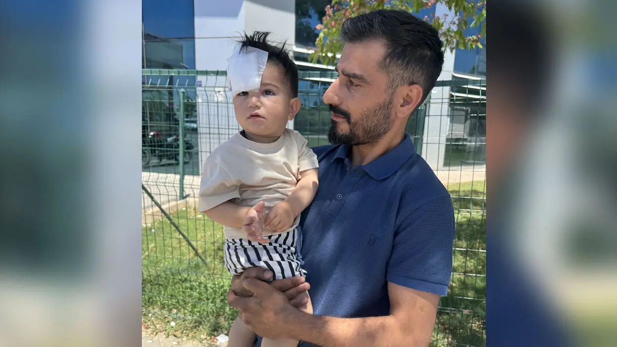 Şanlıurfa'da sahipsiz köpek saldırısı: 1,5 yaşındaki çocuk yaralandı