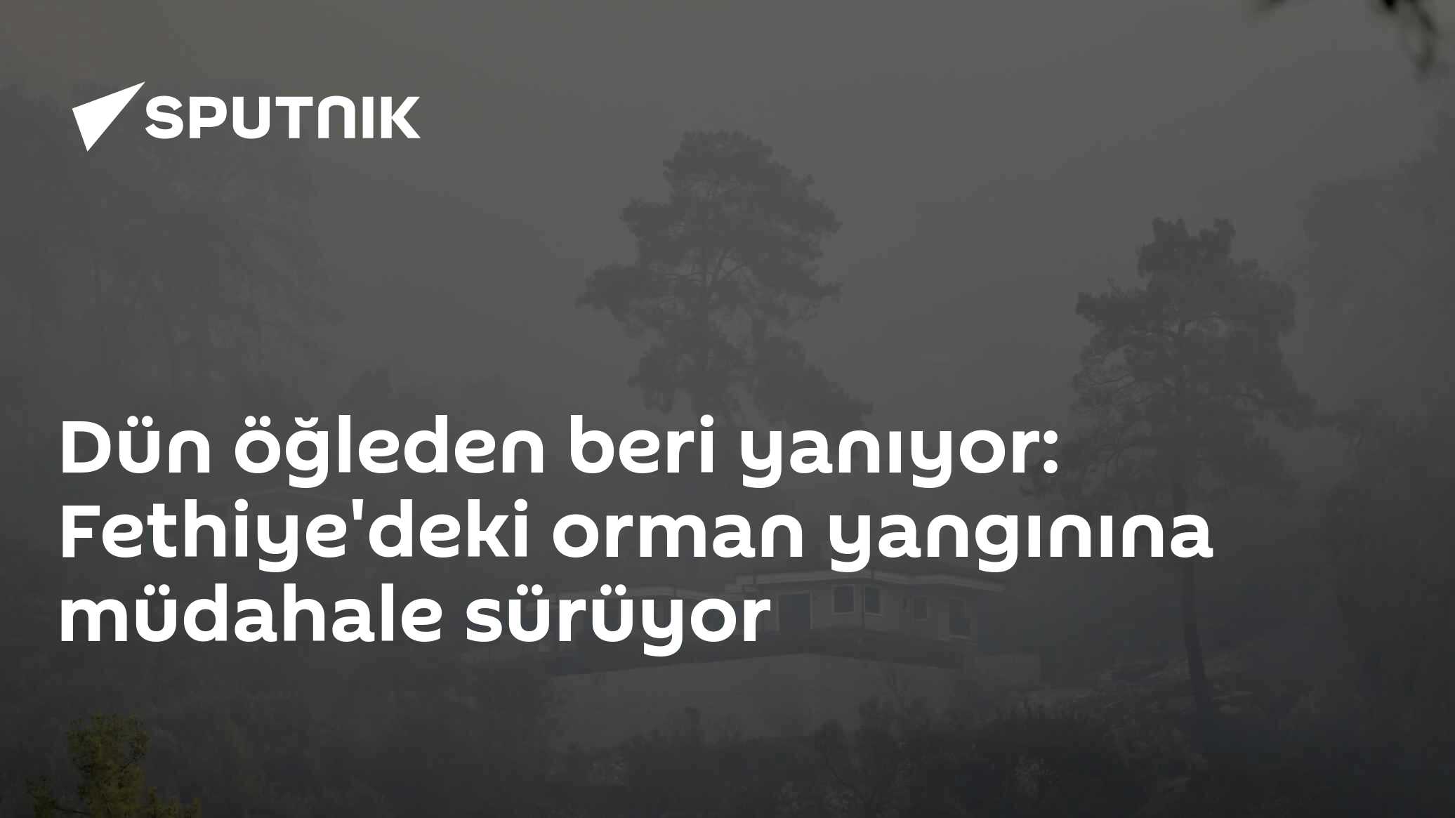 Dün öğleden beri yanıyor: Fethiye'deki orman yangınına müdahale sürüyor