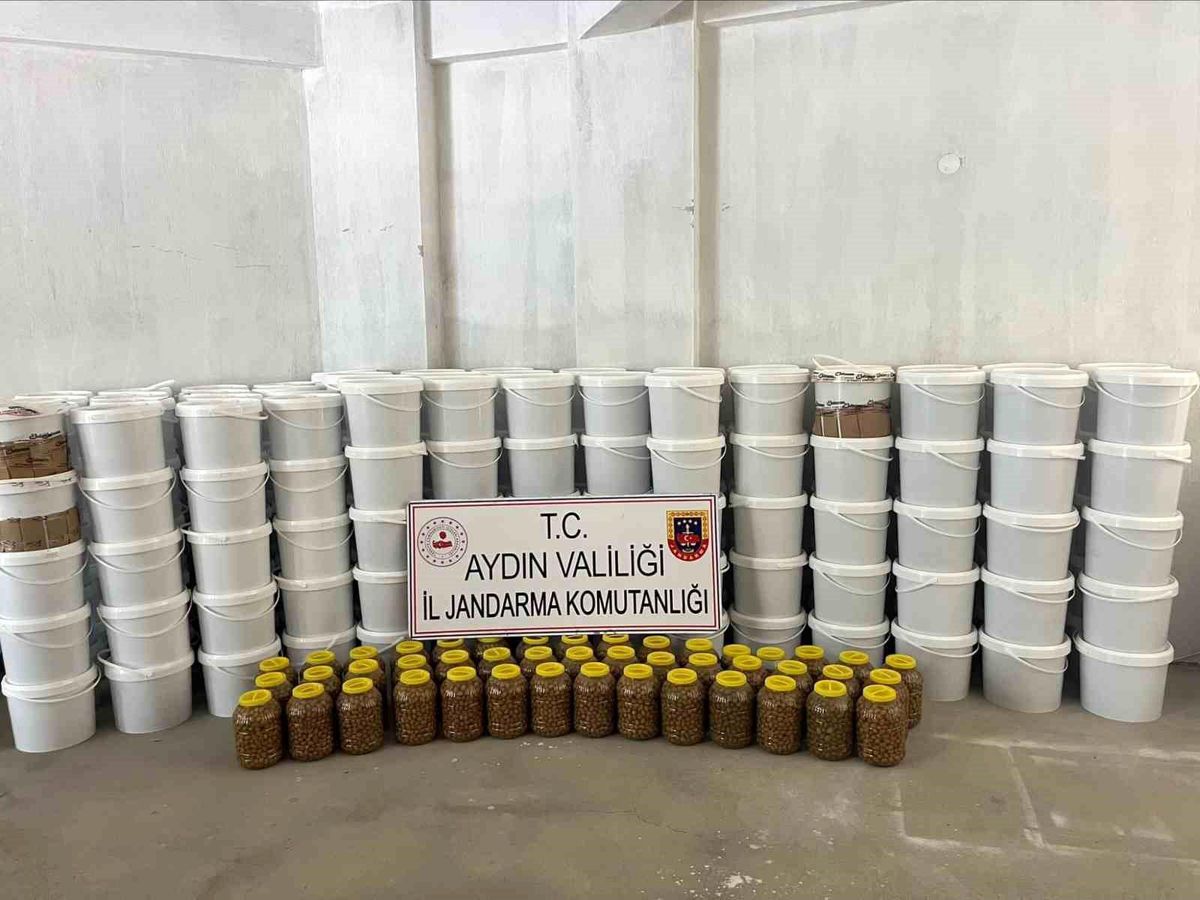 Köşk'te 3 milyon liralık sahte gıda operasyonu: "4 ton salça ve 300 kilo zeytin ele geçirildi"