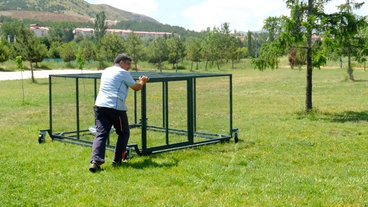 Kampüste kanatlı tim göreve başladı: Kenelere karşı tavuklu önlem