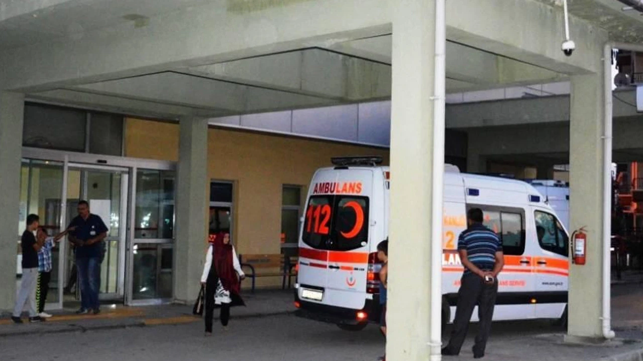 Trabzon'da ot biçme yüzünden kan aktı: Anneanne ve turunu hayatını kaybetti