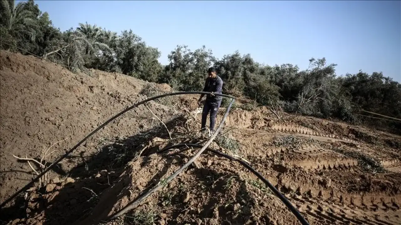 Gazze'de tarım alarmı: İsrail saldırıları sektörde 3,5 milyar dolarlık yıkıma yol açtı