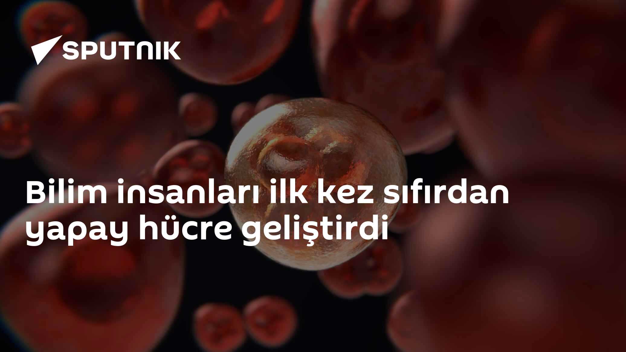 Bilim insanları ilk kez sıfırdan yapay hücre geliştirdi