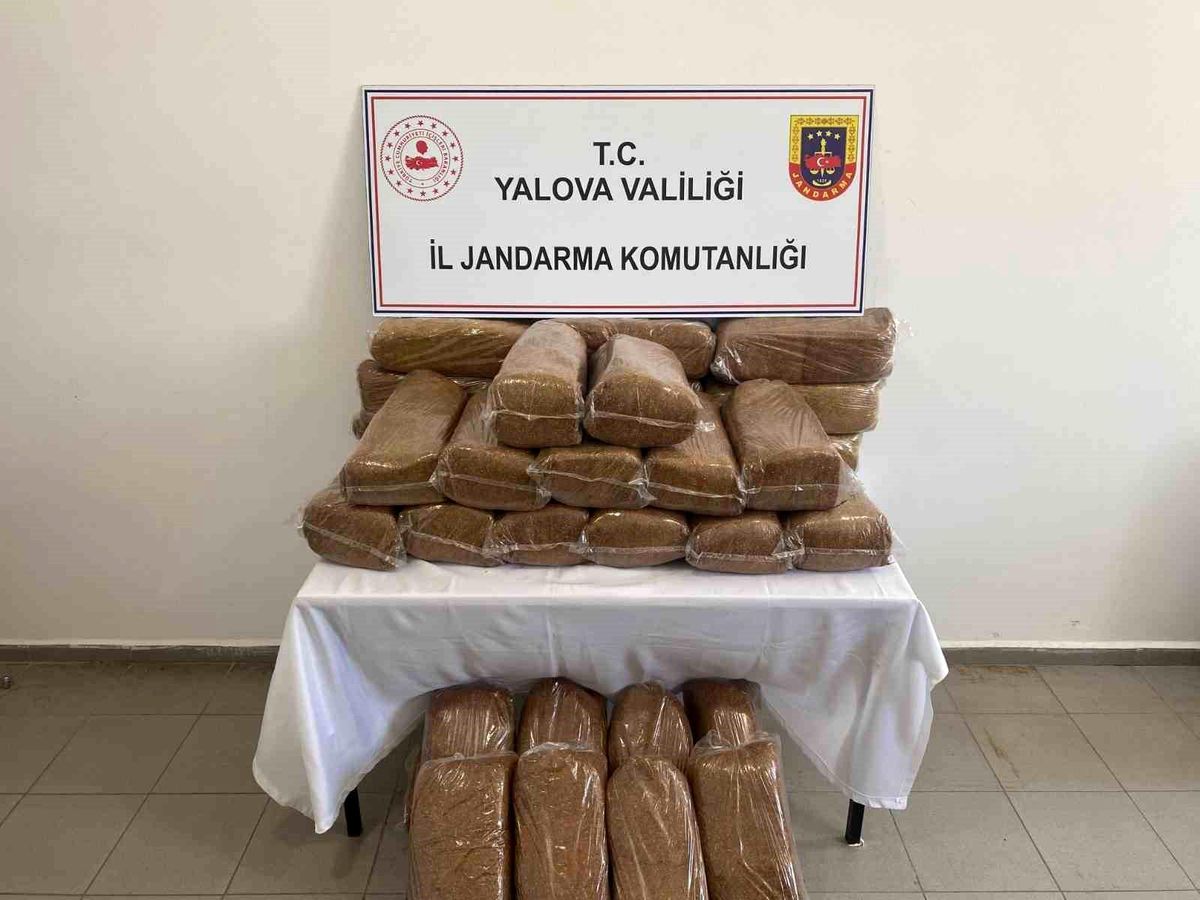 Yalova'da 160 kilo kaçak tütün ele geçirildi