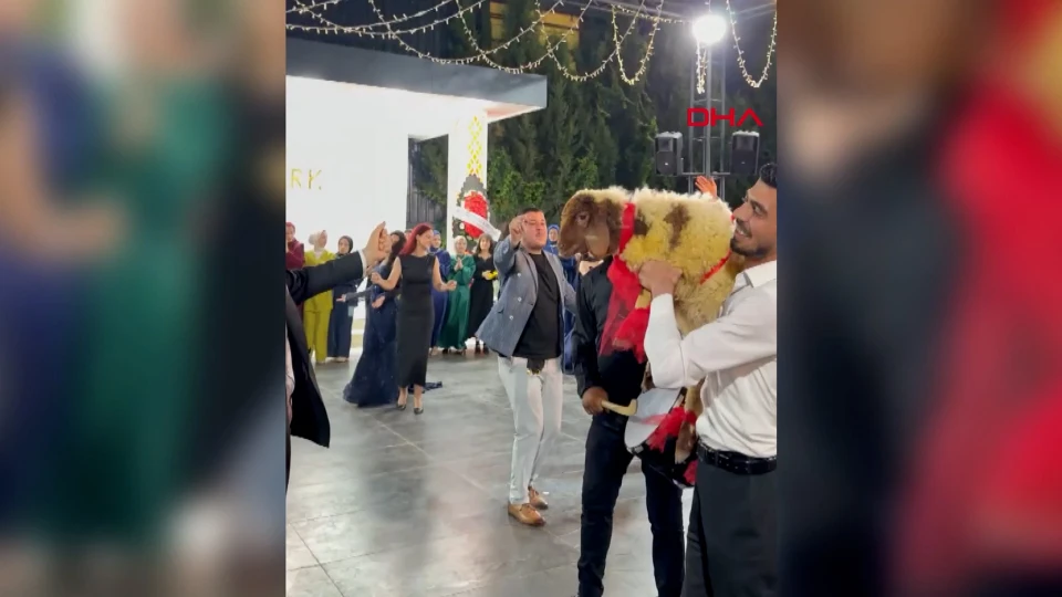 Osmaniye'de Düğünde Arkadaşına Kuzu Hediye Eden Adam