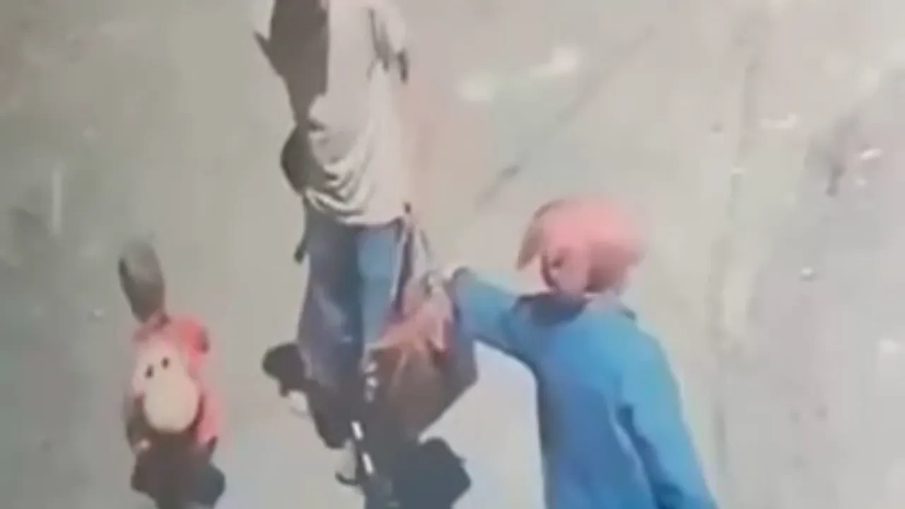 Van'da dehşet anları! 4 yaşındaki çocuğa böyle saldırdı: Yüzü kan içinde kaldı