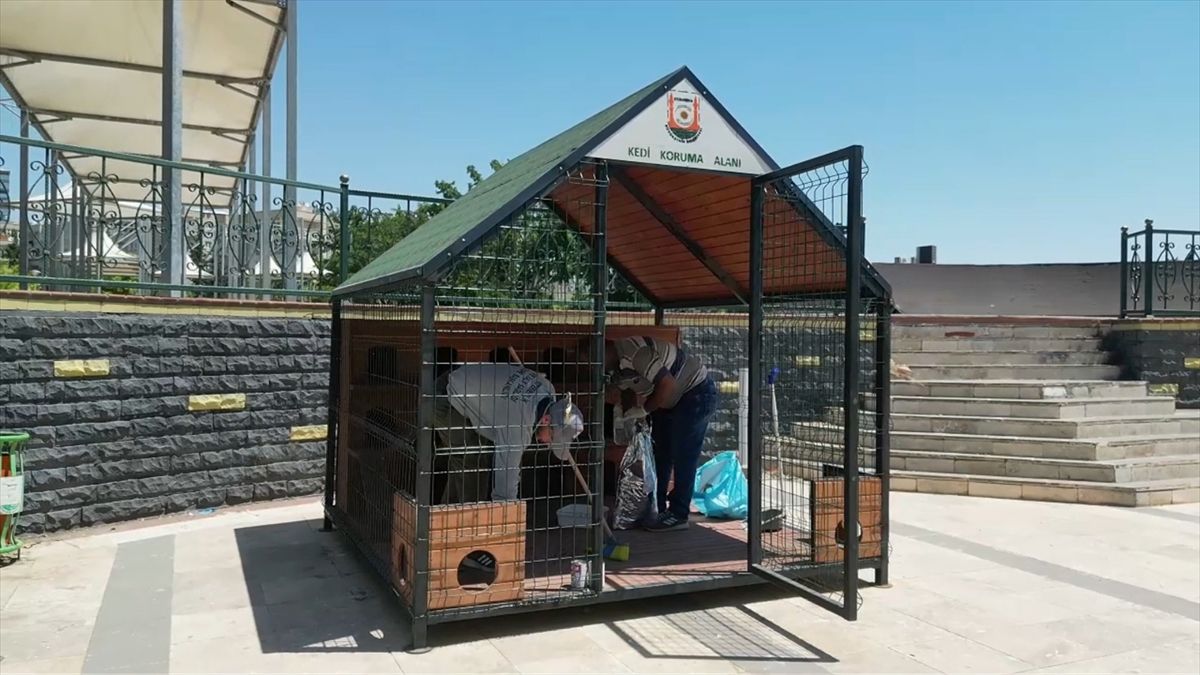 Şanlıurfa'da 11 noktaya 12 kedi evi kuruldu