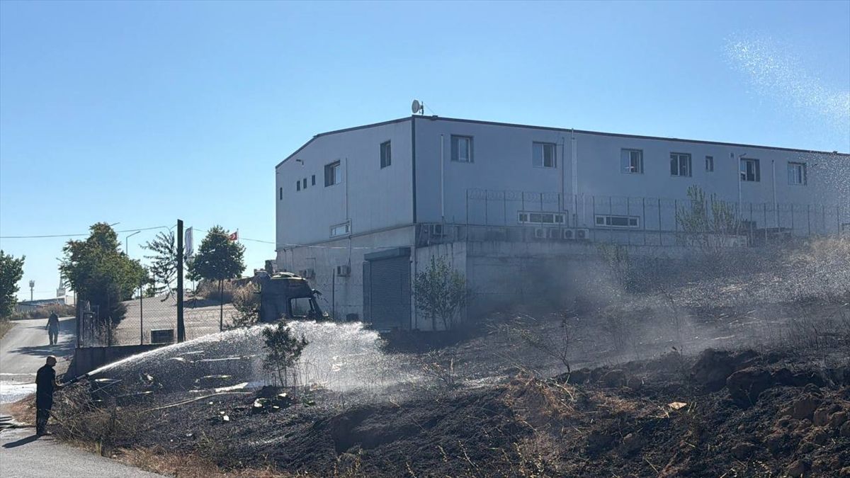 Kocaeli'de makilik alanda çıkan yangın söndürüldü